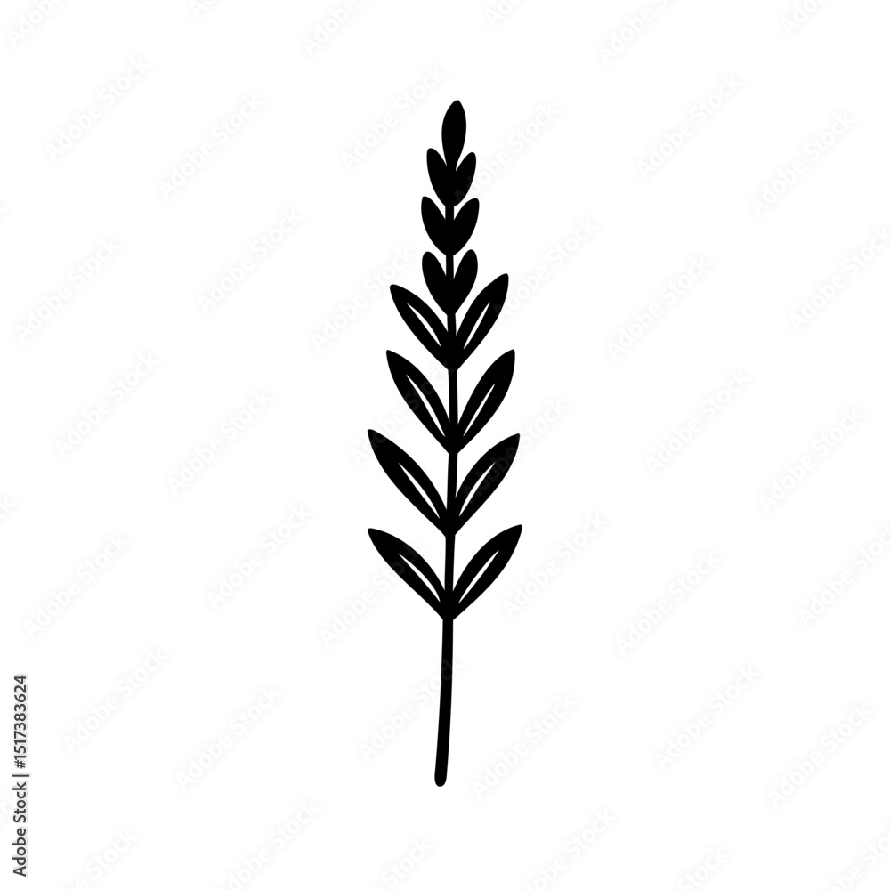 Fototapeta premium Elegant hand drawn black and white botanical illustration of a simple plant sprig on white background