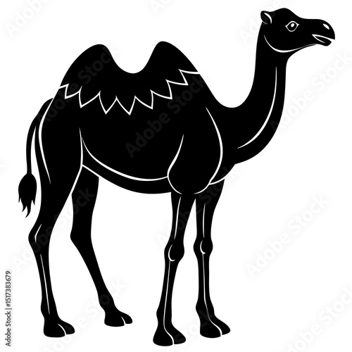 camel in the desert