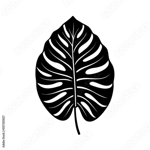 Isolated black and white silhouette of a tropical monstera deliciosa leaf for graphic design