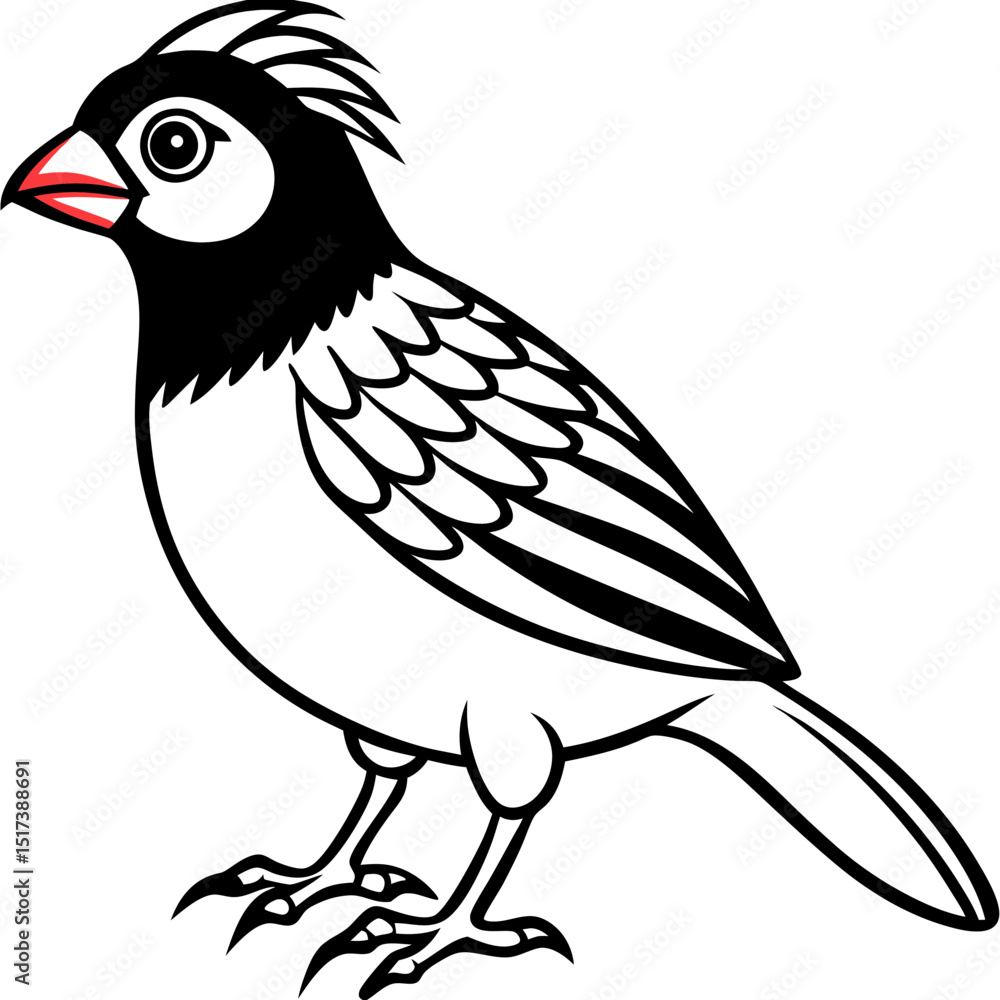 Red Avadavat Vector on White Background Red Avadavat Vector on White Background
