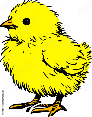병아리,노란병아리,봄,봄병아리,귀여운병아리,병아리그림,병아리일러스트,삥아리,chicks,yellow chicks,spring,spring chicks,cute chicks,drawings of chicks,illustrations of chicks,pink chicks
