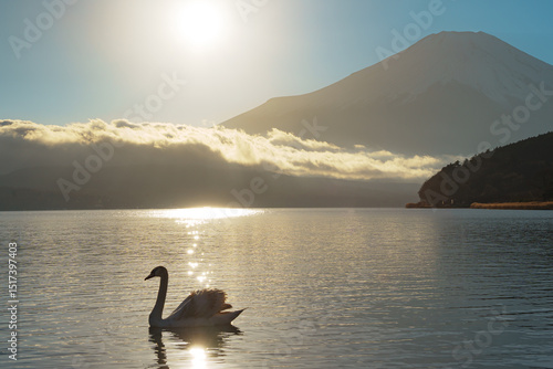 Swans on Lake Yamanaka with Hazy Mount Fuji