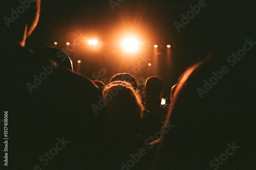 Concert goers