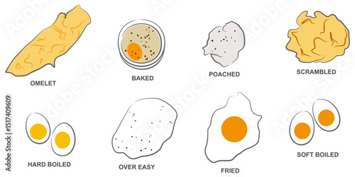 Vector Illustration of Different Types of Cooked Eggs