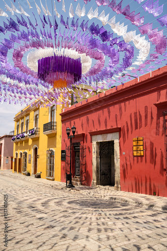 Andador Turistico en Oaxaca
