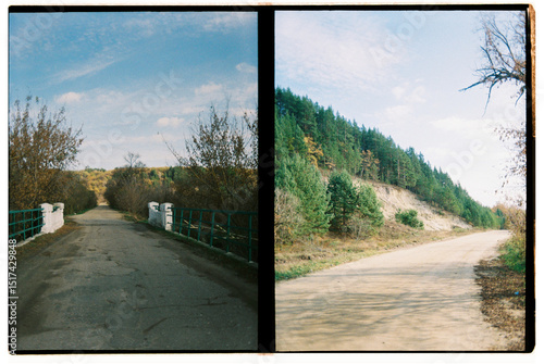 Diptych with scenic bridge road and lush forest 