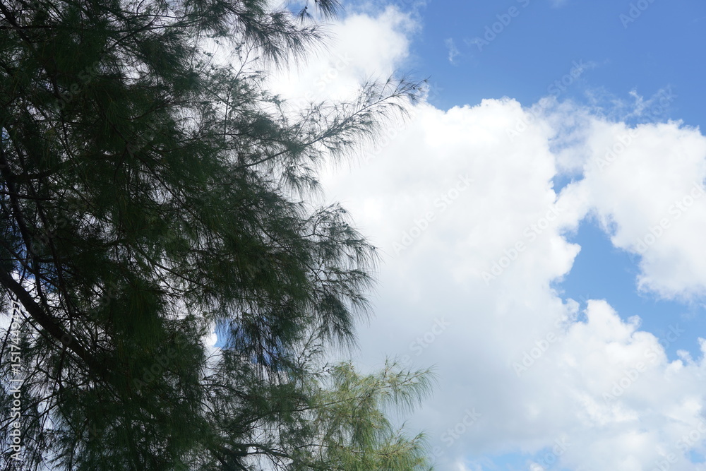 Obraz premium sky and clouds