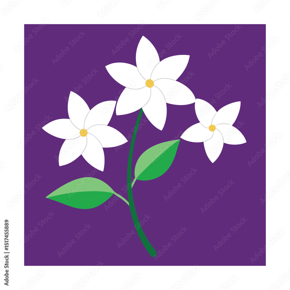 flowers on a white background flowers on a white background