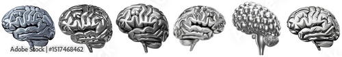 PNG Seven stylized brain illustrations arranged in a row.