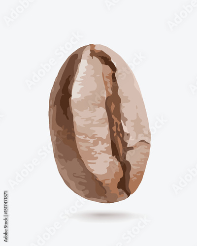 Realistic coffee bean seed. Big coffee bean grain on a white background. Vector illustration.