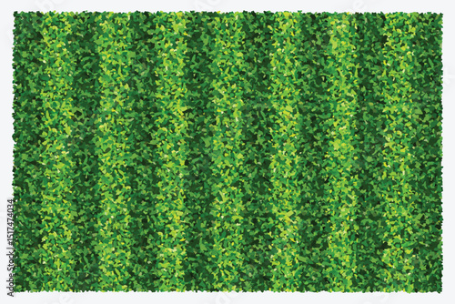 Green grass field background for sports and recreation. Realistic green lawn pattern and texture for background. Vector illustration.