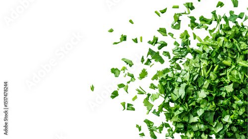 A top down view of chopped parsley  with negative space on the left side isolated on transparent background