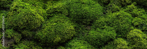 Lush green moss seamless pattern with rich texture and vibrant colors