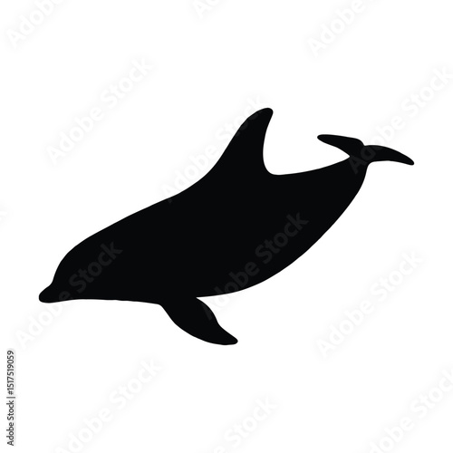 dolphin, fish, sea, animal, vector, silhouette, illustration