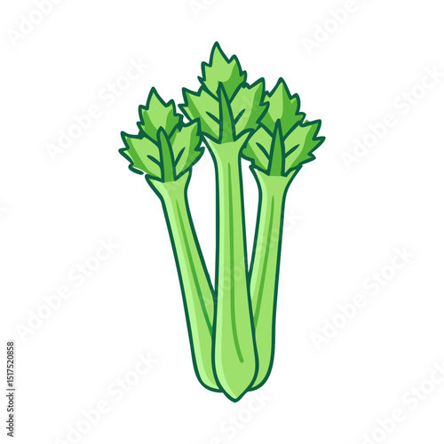 Illustration of fresh green celery sticks with leaves on a white background