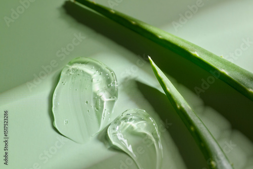 Aloe vera gel with leaves, show natural beauty and skincare properties