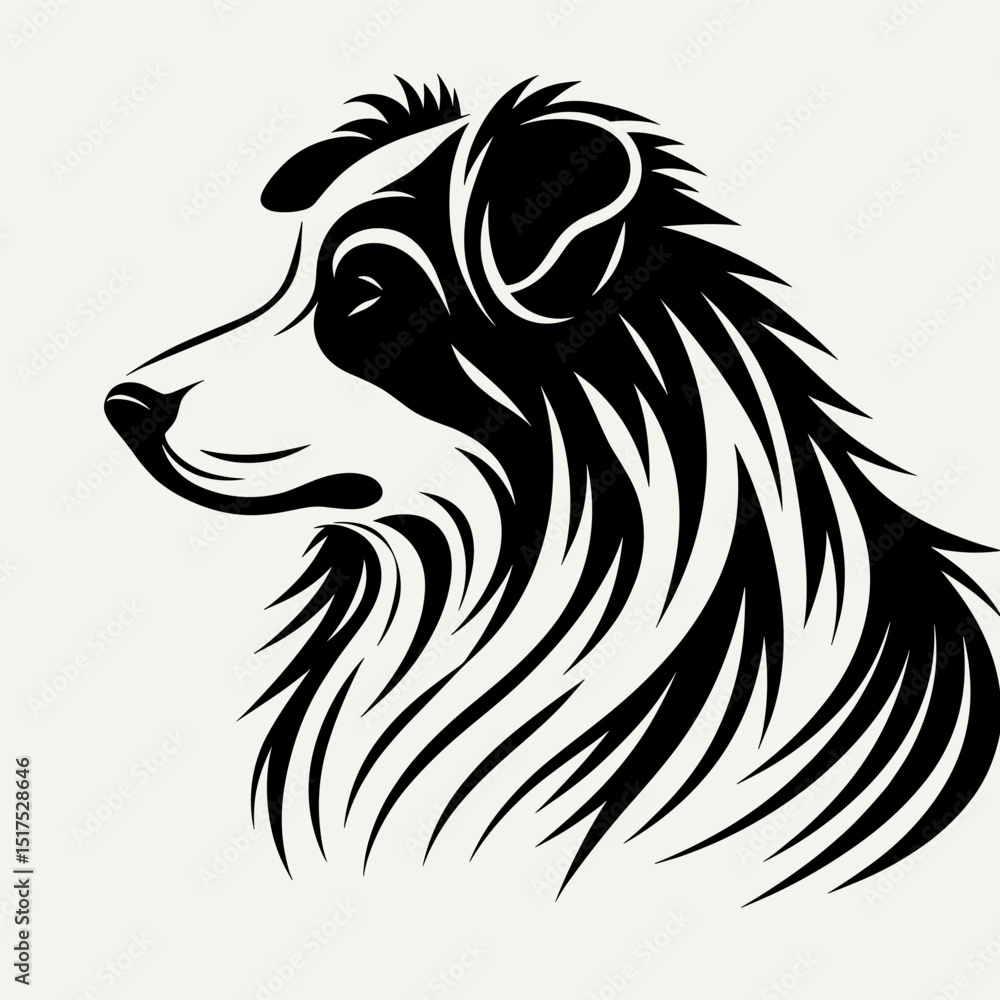 Obraz premium Australian Shepherd head in black and white