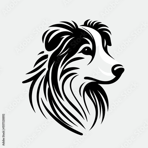 Australian Shepherd head in black and white