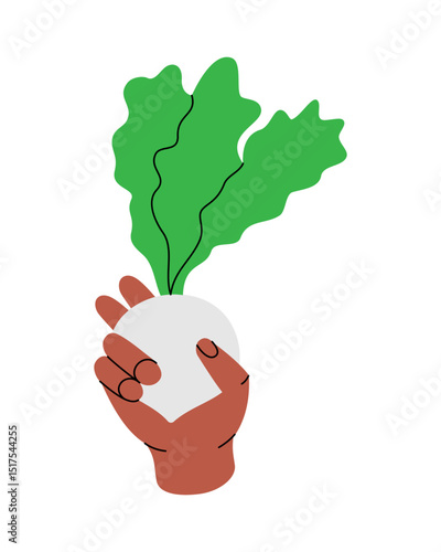 Hand holding a turnip. Healthy eating, vegan food and organic lifestyle concept. Vector illustration.