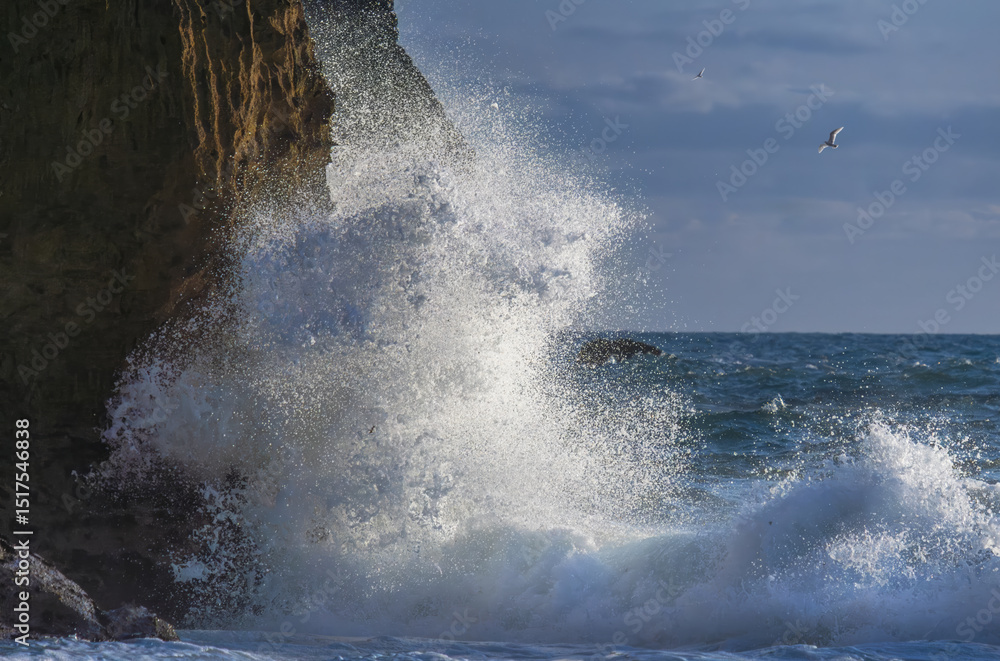 Obraz premium Atlantic Portugal rugged coastline waves crashing against dramatic sea cliffs ocean spray soaring seagulls wild nature adventure travel photography ocean power coastal landscape beauty awe