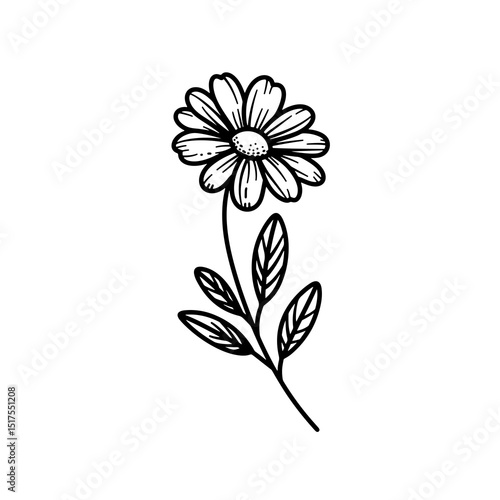 Father's Day Special