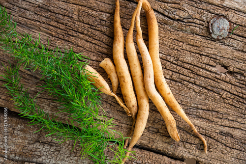 Shatavari or Asparagus racemosus roots on wooden background. herbal or ayurvedic medicine