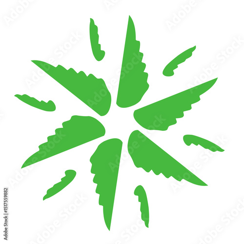 vector illustration of a leaf