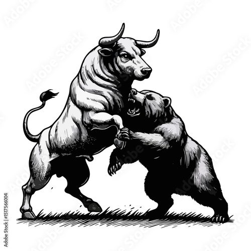 Bull Vs bear vintage simple modern engraving style black and white full body bull vs bear isolated on white background