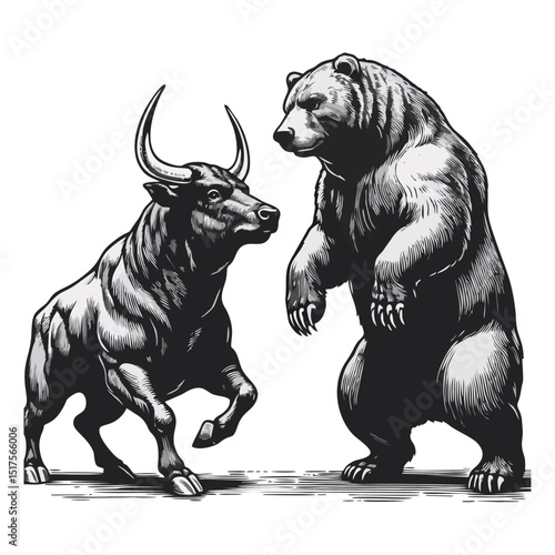 Bull Vs bear vintage simple modern engraving style black and white full body bull vs bear isolated on white background