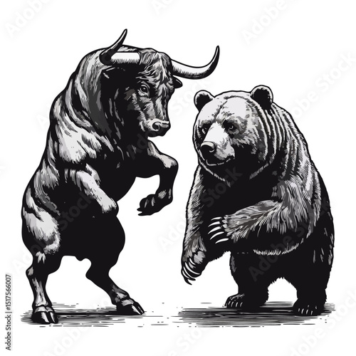 Bull Vs bear vintage simple modern engraving style black and white full body bull vs bear isolated on white background