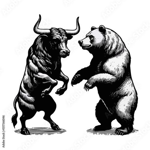 Bull Vs bear vintage simple modern engraving style black and white full body bull vs bear isolated on white background