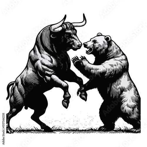 Bull Vs bear vintage simple modern engraving style black and white full body bull vs bear isolated on white background