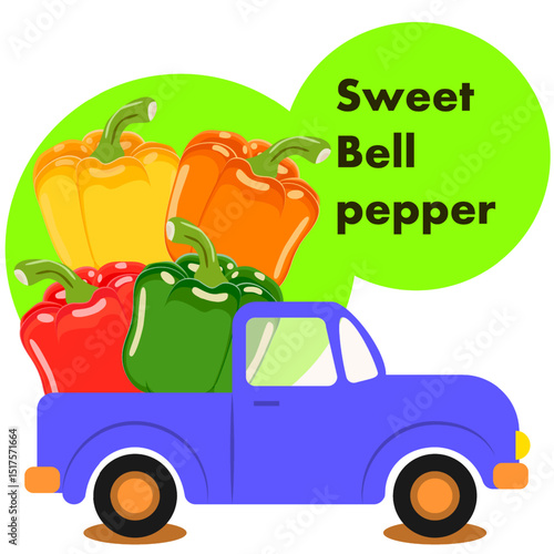 Harvest truck loaded with sweet bell peppers. Harvest season. Isolated vector illustration.