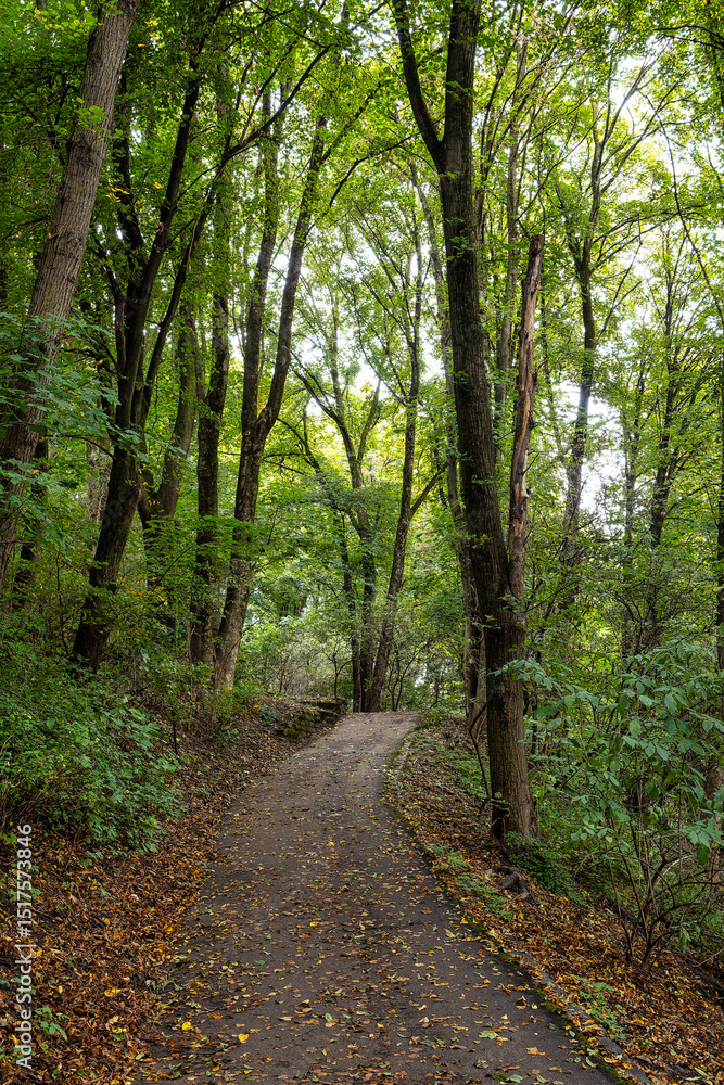 Naklejka premium Autumn view of the Luitpold park near Olympic Park in Munich, Bavaria, Germany