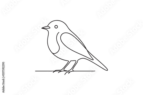 Robin bird continuous one line drawing minimalism design