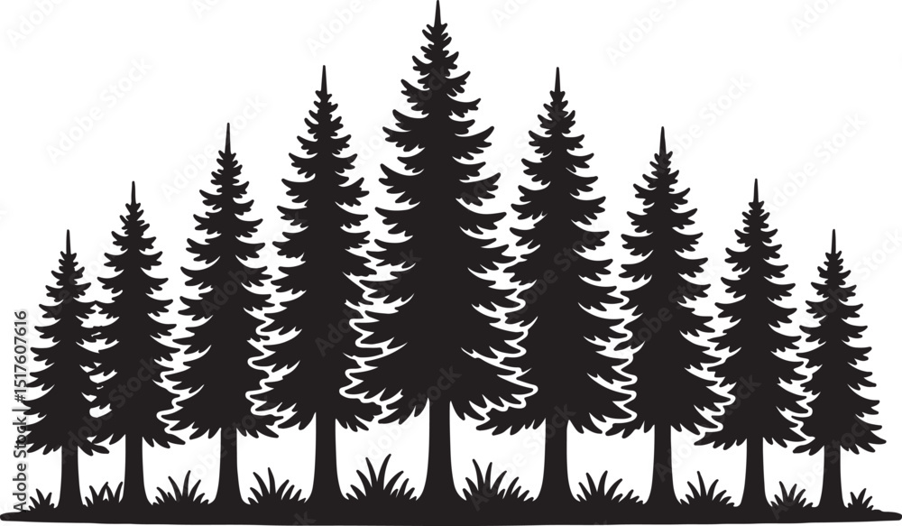 Obraz premium Pine Trees Forest with Grass Silhouette Vector Nature Landscape Illustration.