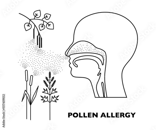 Pollen allergy line art vector illustration, human head and pollinating plants.