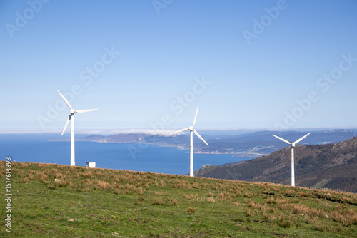 Wind turbines rise over grazing cows in Meizoso, Galicia, Spain — a peaceful harmony between renewable energy and rural life near the dramatic Costa da Morte.
