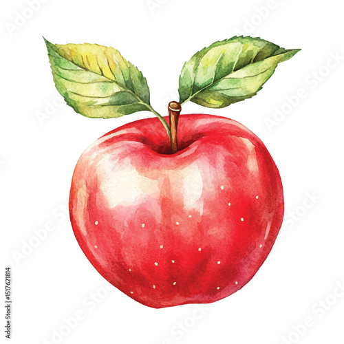 Watercolor apple illustration with green leaves isolated vactor with transparent background