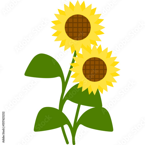 Hand Drawn Sunflower