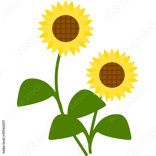 Hand Drawn Sunflower