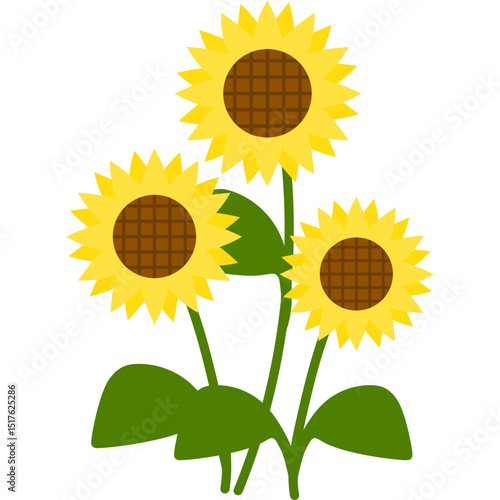 Hand Drawn Sunflower