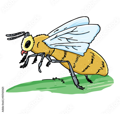 Cute cartoon hand drawn vector honey bee clipart.