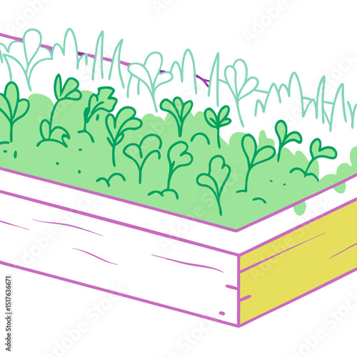 Illustrated vegetable garden bed with vibrant green seedlings  