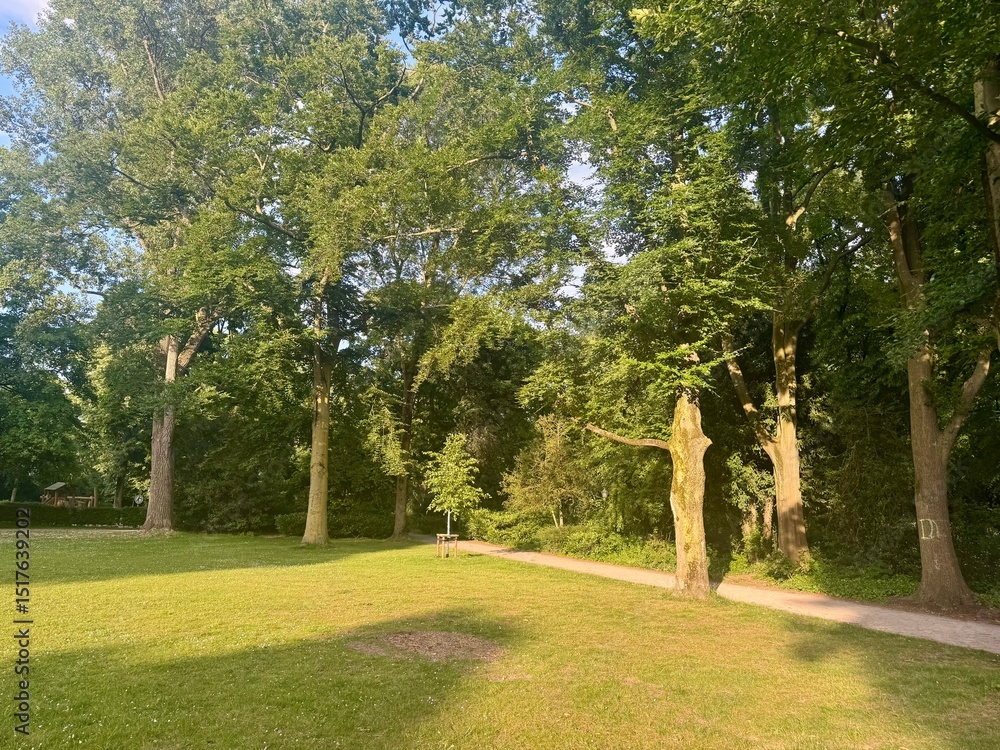 Obraz premium path in the park