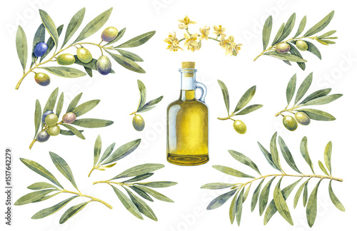 Watercolor olive oil bottle branch green set. Hand painted floral illustration element olives fruit tree branches leaves isolated background. Drawings food. Edible foliage. For fabric wrapping decor