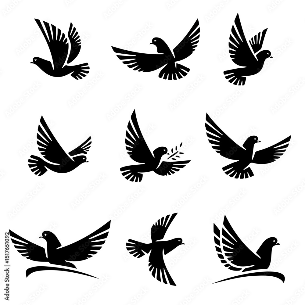 Black and white bird 36 Black and white bird 36