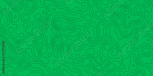 Decorative artwork with topographic styling and line detail

