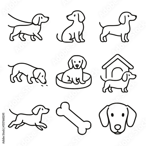 Dachshund on a leash in various illustrations, concept of vector icon set  