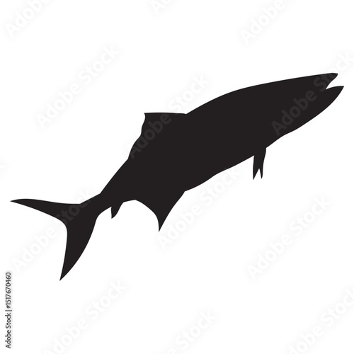 Salmon fish silhouette vector illustration